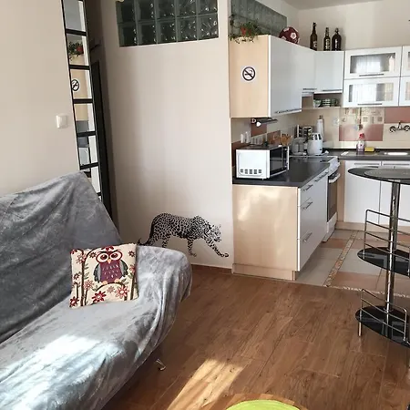Apartment Iva